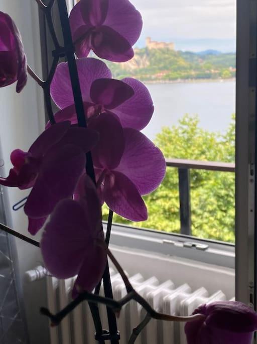 Babalu Con Vista Lago 阿罗纳 外观 照片